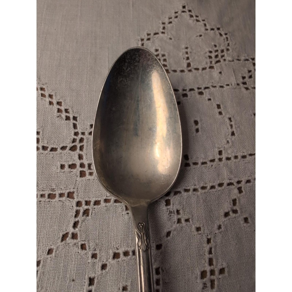 William Rogers Mfg. Co. Silver Plate Table Spoon Avalon Cabin 8.5 inch - Picture 4 of 13